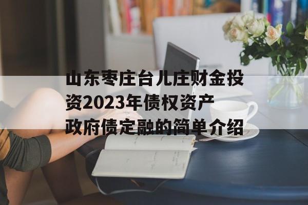 山东枣庄台儿庄财金投资2023年债权资产政府债定融的简单介绍