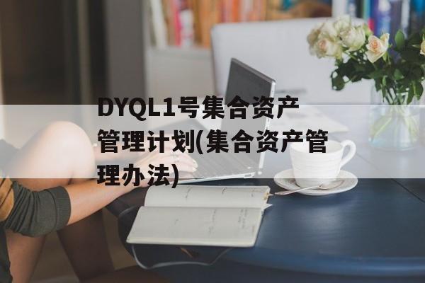 DYQL1号集合资产管理计划(集合资产管理办法)