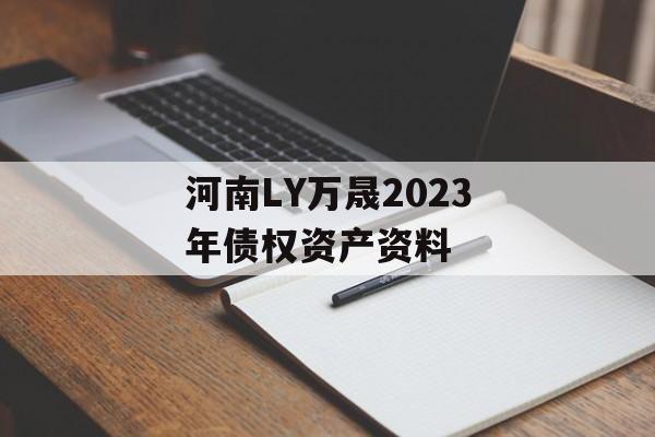 河南LY万晟2023年债权资产资料