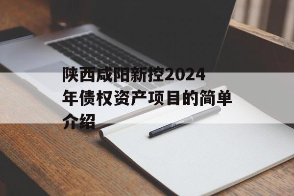 陕西咸阳新控2024年债权资产项目的简单介绍