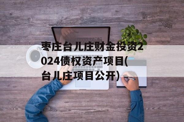 枣庄台儿庄财金投资2024债权资产项目(台儿庄项目公开)