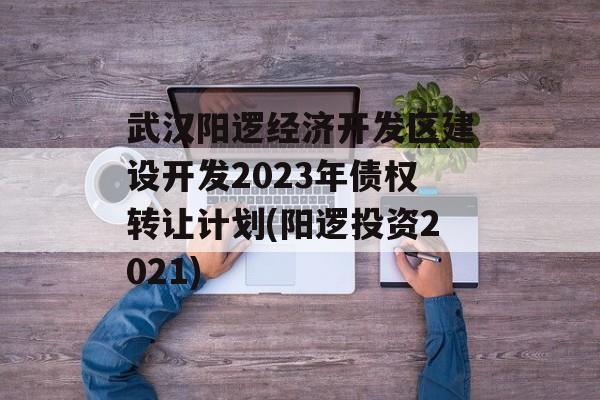 武汉阳逻经济开发区建设开发2023年债权转让计划(阳逻投资2021)